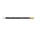 Graphic art pencils "VISTA-ARTISTA" VAGP Sharpened 10M (10B) 12 pcs.