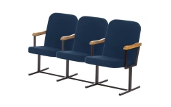 Multi-passenger section KM5