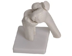 Bones of the knee joint, item 11201-5