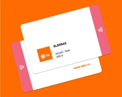 ISBC® smart card with integrated integrated circuit SLE5542