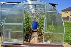 Greenhouse "Standard"