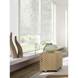 Horizontal window blinds