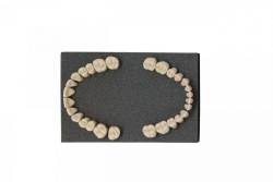 Set of teeth for standard dental model, 28 pcs. PD-NZ M28