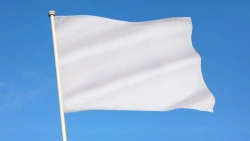 Flag (item number FL1)