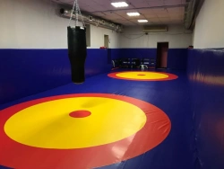 Ser-Ba wrestling carpet