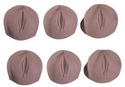 Models of cervix and cervical canal, art. no. 9