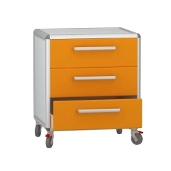 Rolling medical cabinet according to TU 32.50.30-008-69573749-2021, article number DM-2-107-07.K2.F2.F2.
