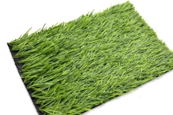 Artificial grass Grass 50Z/14 PU
