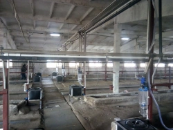 Milk pipeline ADMN-50