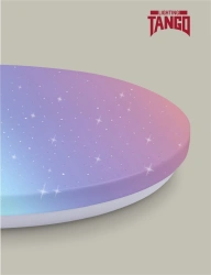 LED wall-ceiling luminaire TM "TANGO" NBBD-RC-R-1 "STARRY SKY" LUXE 60W RGB