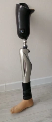 Modular hip prosthesis with external energy source