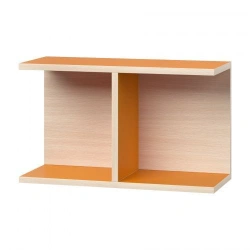 Display case for books wall mounted