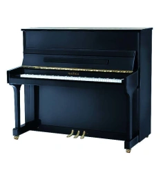 Piano acoustic "Chaika" SN-121