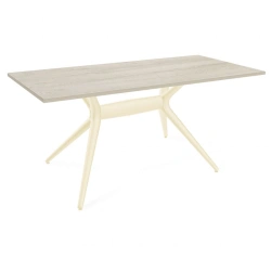 Sheffilton SHT-TU30-2/120/80 LDPE table