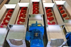 Electrically driven screw conveyor