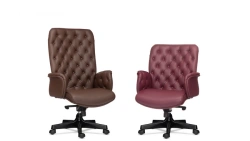 Office chair President