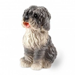 Dog Artoshka