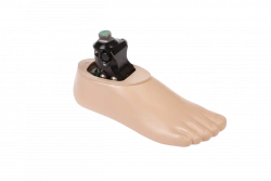 1H010Y Carbon fibre foot with adjustable heel height