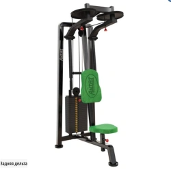 Trainer for posterior deltoids