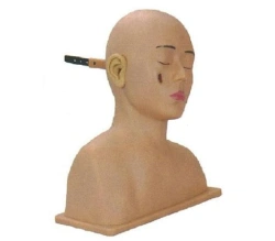 LV41 Ear Disease Diagnostic Trainer