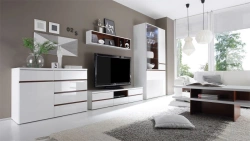 Set of furniture for living room, dining room