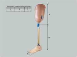 Hip prosthesis for therapeutic training