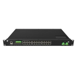 Switching equipment InZer-3224GEM