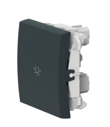 CADUCEUS ALING MODE Flush-mounted push-button light switch, 10AX, 250V~, 2M, anthracite, art. 6590.?