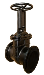Parallel cast iron gate valve 30ch6br LT