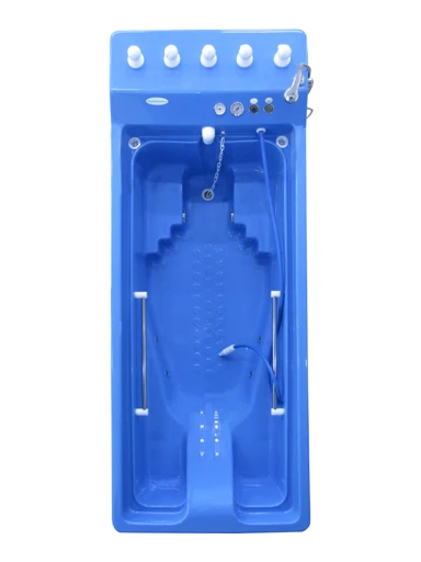 Golfstream Hydrotherapy Bath with Water Light System PDM/G16/C