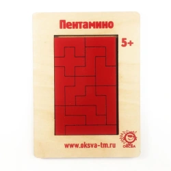Pentamino puzzle.