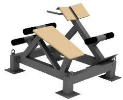 Outdoor dual training machine for back extensors and gluteus maximus muscles UTS-007
