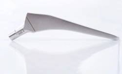 Hip prostheses with accessories