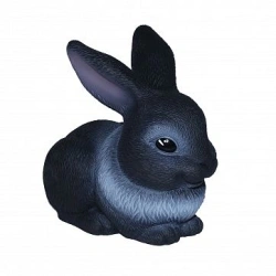 Marty the rabbit