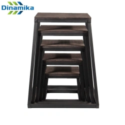 Plyometric bollards (set of 5 pcs)