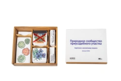 Magnetic poster "Natural community of a homestead plot" with methodical recommendations.