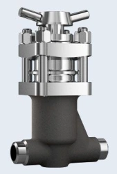 Shut-off bellows valve ZT26363 DN 25