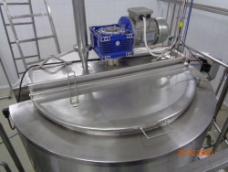 Sourdough starter type RAM and their modifications