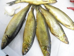 Hot smoked herring, uncut