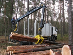Wood loader of manipulator type MM-90