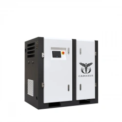 Air compressor station CADUCEUS AIRCAD 2-26 S, 26 kW, 0.9-4.2 m3/min, 0.8-1.3 MPa