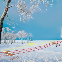 Seismomagnetometric detection device "Duplet-R"