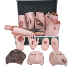 Models of various traumas, G110-16