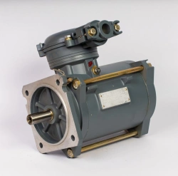Multi-Phase AC Motors 750W-75kW