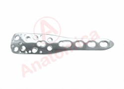 Plate for proximal shoulder with angular stability