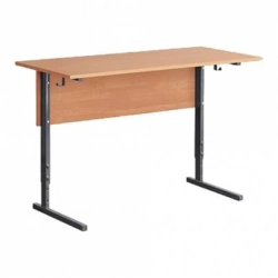 Pupil's desk