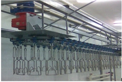 Suspended gutting conveyor