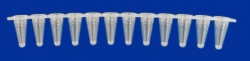 Non-sterile polymeric tube for in vitro diagnostics according to TU 32.50.50-021-54287340-2022: Cone microtube PM3-7-16-PP
