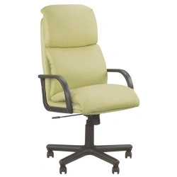 Wooden armchairs: NADIR