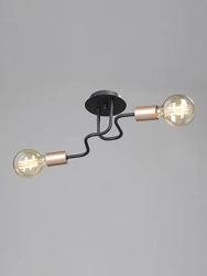 General purpose fixed luminaire V4560-1/2PL
